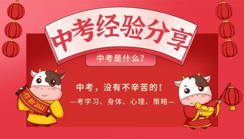 小小二觉：探寻幼儿教育的奥秘，家长必读的育儿经验分享及教育资源推荐