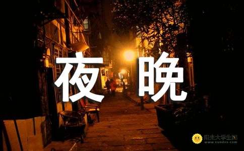 杯莫停上一句是什么，畅饮不停的诗意时刻，舞动在夜晚的欢乐节奏中